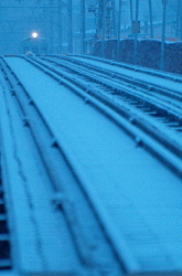 雪の中現れたのは