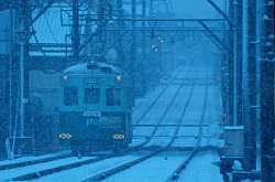 雪の中でも凛として走る