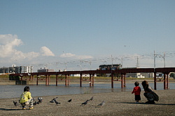 鳥を見に来た家族と161形