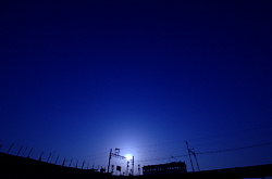 チン電ブルーライト