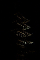 奈良興福寺の夜