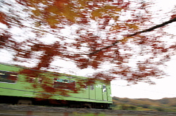 初冬のもみじと緑の電車