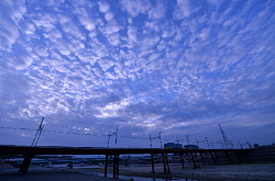 梅雨空を蛍光灯モードで