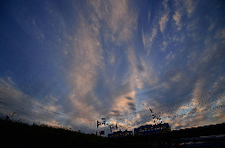 秋空の下のすれ違い