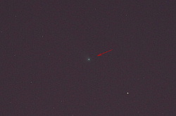 ラブジョイ彗星