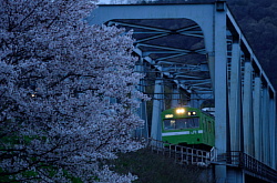 夕暮れの桜と103系
