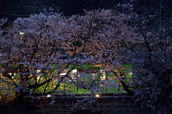 河内堅上駅のライトアップ