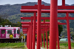 しまねっこ電車