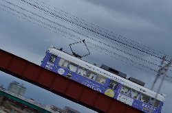 2015年は流し撮りから