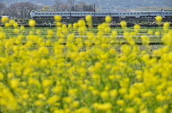 湖西線 近江中庄駅付近